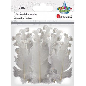 Piórka Titanum Craft-Fun Series 6 sztuk, białe