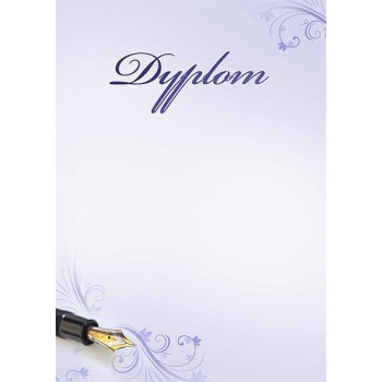 Dyplom Galeria Papieru A4 170g classic