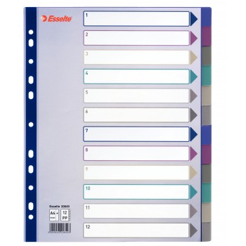 Przekładki plastikowe Esselte Multicolor Maxi A4 12 kart