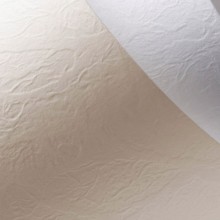 Karton ozdobny Galeria Papieru Standard, Skóra 230g biały